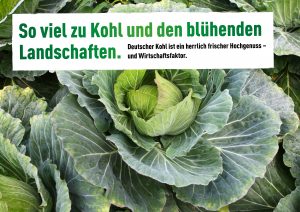 Kohl