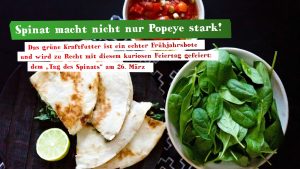 Quesadilla mit Spinatfüllung und Tomatensalsa